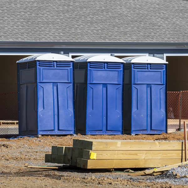 how often are the porta potties cleaned and serviced during a rental period in Dayville